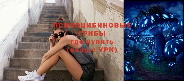 не бодяженный Ладушкин
